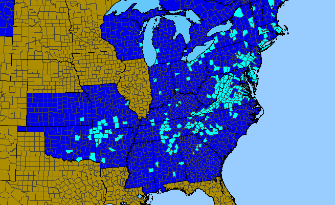 The range of Geranium molle